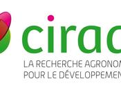 centre recherche Biomasse lancé Montpellier