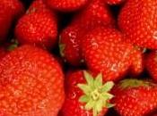 fraises: Comment peut-on planter gouverner?