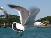 blog l'heure d'été