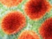 virus grippe A(H1N1) beaucoup plus mortel prévu