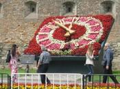 nouvelles l'horloge fleurie Lviv (Ukraine)