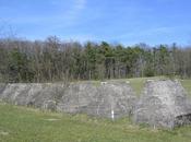 commune Gland goût d’Apple