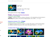 Google améliore fonction recherche image