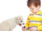 ANIMAUX COMPAGNIE font l’immunité plus petits Pediatrics