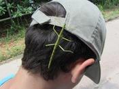 Evolution espèces…