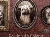 Destins chiens