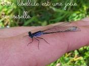 jolie rencontre