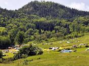 Festival Folk Sale (photos)...