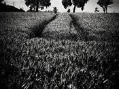 Sélection Darqroom Pixfan