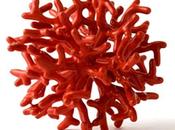 misère, dévoiement pauvreté