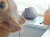 pesée avant liberté