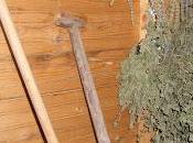 Ramassage Herbes jardin