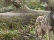 France protège biodiversité liquidant