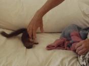 Bonne nuit, Séraphine!