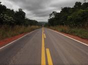 Leïla vert contre tout: forêt amazonienne reprend souffle
