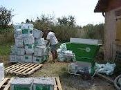 Chantier coup main ouate cellulose