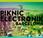 pique-nique dimanche Barcelone, Festival Piknic Electronik
