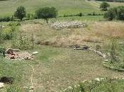 nouvelles d'ici bas, d'été