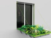 Volet Végétal mini jardin suspendu fenêtre appartement