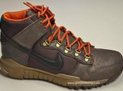 Nike Dunk High Free Winterized