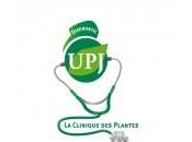Comment parler plantes consultant médecin septembre Domaine Saint Jean Beauregard dans l’Essonne
