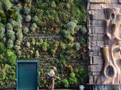 plus grand jardin vertical monde entre dans Guinness