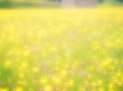 Steve Gosling présente Imperfect Impressions