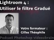 Utilisation filtre Gradué dans Lightroom