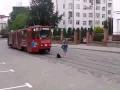Quand chien têtu décide bloquer tramway