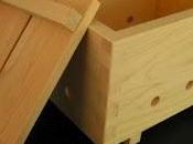 Devenir maître tofu