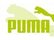 Puma vert!