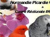 Coupe Espoir Interflora, région Normandie