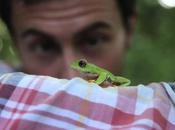 Leïla vert contre tout: Follow Frog