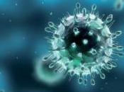 VIRUS: L’empêcher faire valise, nouvelle stratégie antivirale PNAS