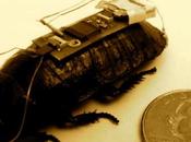 N'ayez plus cafard pourrait vous sauver