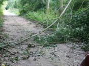 chemin hors Romilly Seine