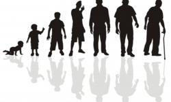 Les "binômes professionnels", l’emploi et le management collaboratif