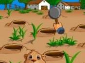 Classes moyennes, marmottes politiciens