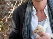 Inédit: Quand poules auront dents soir France (vidéo)