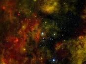 Beauté fulgurante l’essaim d’étoiles Cygnus