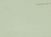 Notion Adam reste dans flou