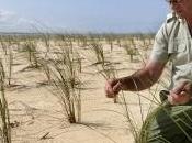 Biodiversité l'AFNOR crée norme écologique