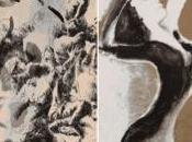 Edmond Baudoin sœurs Vargas, scène très différente déroule derrière cloison