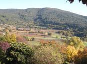 Beauté l’automne Ampus