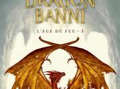 L'âge (3/6) Dragon banni Knight