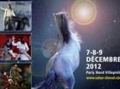 Nuit Cheval décembre 20h30 Salon cheval Villepinte