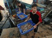 BANDE GAZA L’incroyable défaite d’Israël matérialise terrain
