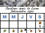 Jardiner avec Lune mois Décembre 2012