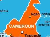 Cameroun opposition façade