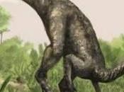 Nyasasaurus parringtoni, plus vieux dinosaure monde